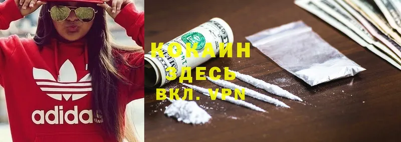 Cocaine Fish Scale  Ростов-на-Дону 